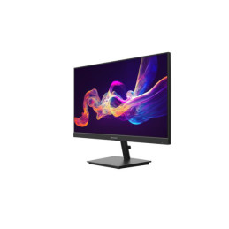 Monitor Hikvision-D5024F2-AP2 23,5" CCTV monitor FHD - Monitory