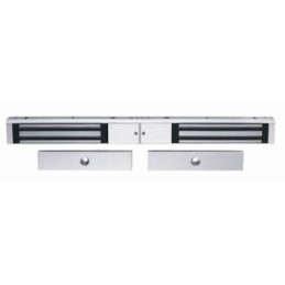 Hikvision DS-K4H258D